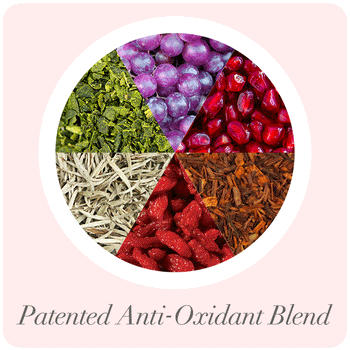 June Jacobs antioxidant blend with goji berries, green tea, red tea, pomegranate, and grape extracts
